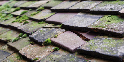 Padbury roof repair costs
